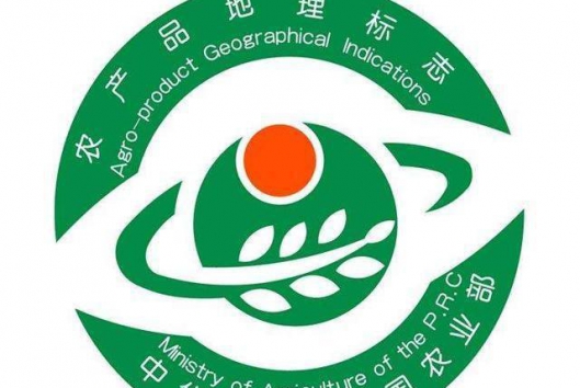 自治区农业农村厅办公室关于印发2021年广西地理标志农产品保护工程实施方案的通知