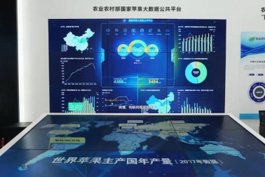好消息！广西农业数字化水平位列全国第5